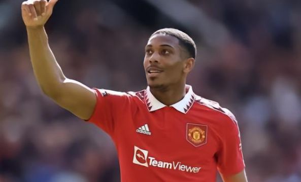 三分投射的 三分投射的