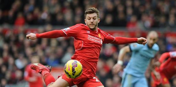 灰熊引进考 灰熊引进考